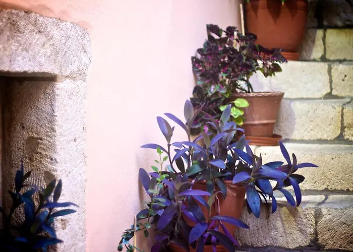 Hotel Casa Dei Delfini Rethymno (Crete)