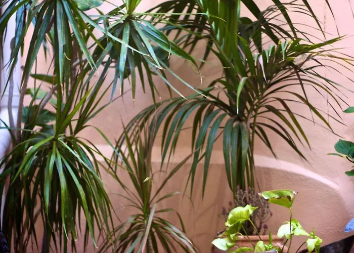 Готель Casa Dei Delfini Ретимно (Крит)