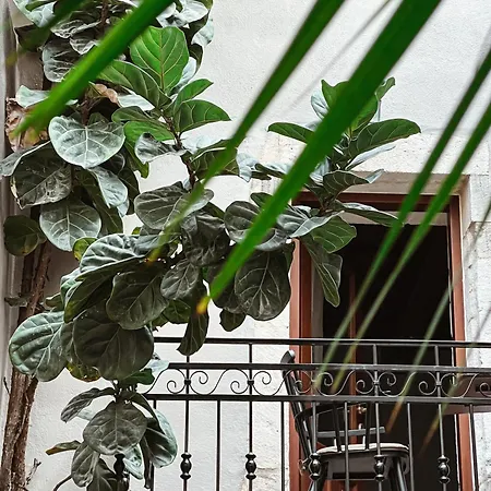 Casa Dei Delfini ريثيمنو