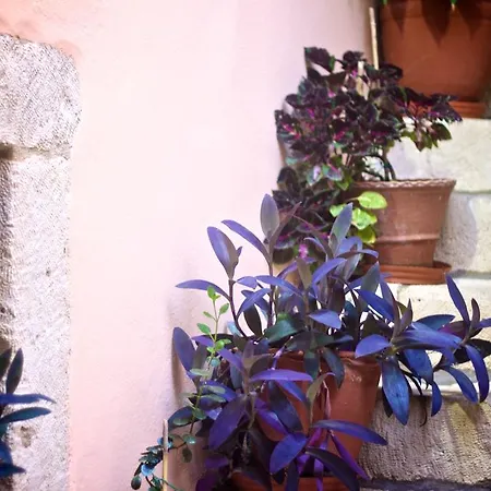 Hotel Casa Dei Delfini Réthymnon